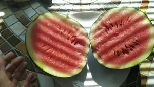15 июля 2020 г.Первый арбуз! Гибрид Черный жемчуг. Вкууусный!