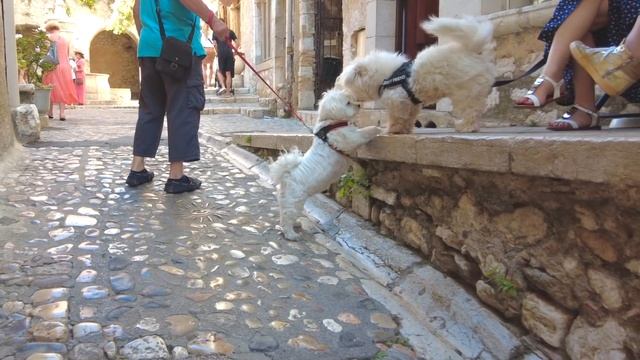 Saint Paul de Vence / beau village de France / Provence Alpes Côte d'Azur / Alpes-Maritimes / Nice смотреть онлайн