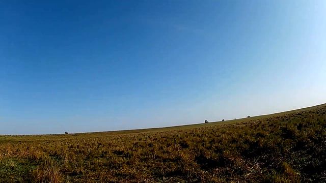 Охота на Чирка. Удачная охота на уток. Было много налетов! Осень