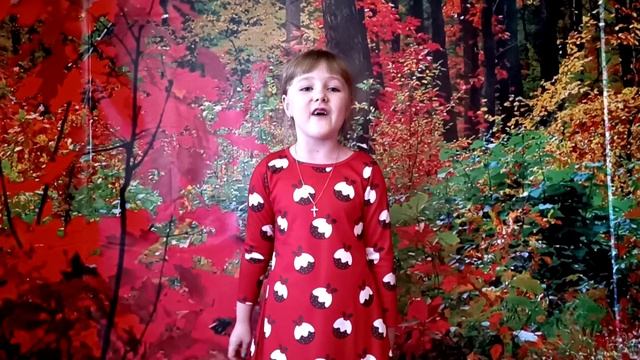 ПЕТРОВА СЕРАФИМА СТИХ "ЧТО Я ЛЮБЛЮ". Автор:  Коновалов Даниил смотреть онлайн