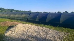 рассадник для клубники