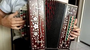 Гармонь любительская, Ми мажор.