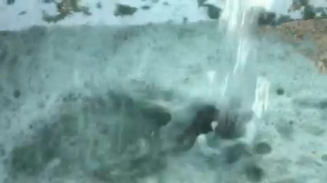 Гидропосев. Подготовка смеси смотреть онлайн