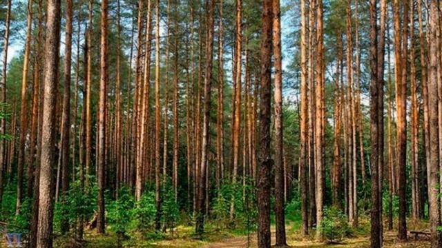 Боровое Казахстан Бурабай Путешествия и природа смотреть онлайн