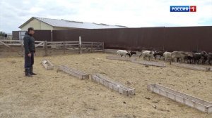 Как живут сегодня 2 соседа: село Аршаново и Аршановский угольный разрез? Iзестiг холларда