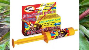 МУРАВЬИ на ПИОНАХ!!! Самые эффективные средства от муравьев на пионах.