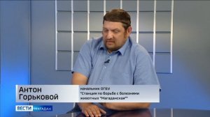 Порядок оформления документов для продажи рыбы изменился