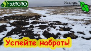 1 ГОРСТЬ и КОРНИ РАССАДЫ РАСТУТ КАК СУМАСШЕДШИЕ! Но есть нюансы. Земля из кротовин.