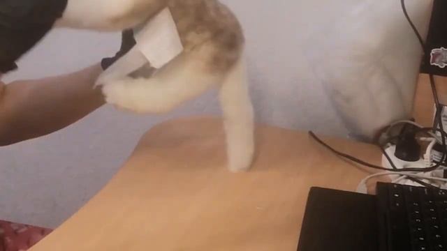 СИАМСКАЯ КОШЕЧКА ручная работа ?Реалистичные животные смотреть онлайн