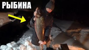 Как коптить сазана в коптилке. Встреча первых гостей