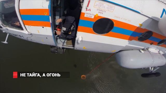 Не тайга, а огонь! смотреть онлайн