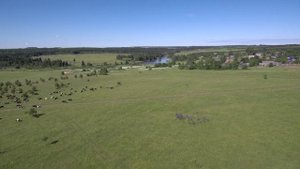 Удмуртия Селтинский район д. Лудзи-Жикья