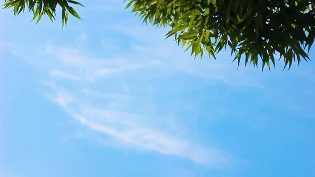 УКАЗАТЕЛЬ НА ИСТИНУ ВНУТРИ ВАС #Просветление#Пробуждение