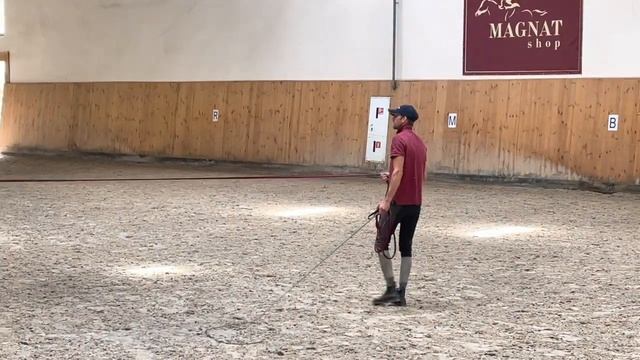 Диана и Валерия уроки верховой езды. Лера второй урок. смотреть онлайн