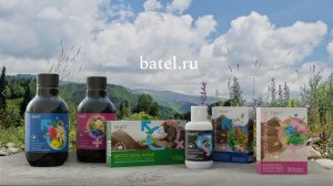 Сила алтайских гор для репродуктивного здоровья