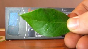 вредители цитрусовых : клещ, щитовка