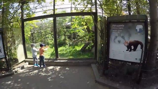 Зоопарк Хельсинки смотреть онлайн