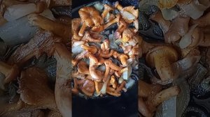 как приготовить лисички и можно ли есть их сырыми.