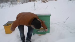 Канди для пчел. Приготовление канди.Подкормка пчел