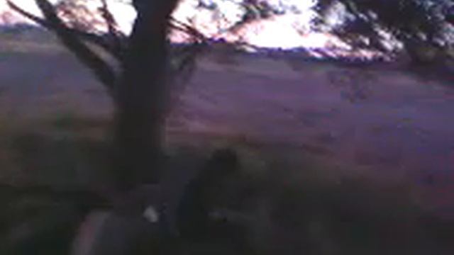 Саня-гопник ранен смотреть онлайн