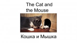 Как мышка возвращала хвост The Cat and the Mouse Рассказ на английском и русском детям Кошка и Мышка