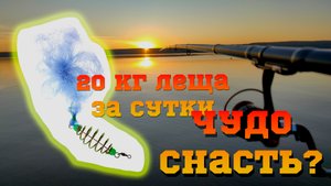 Кормушка с сеткой с АЛИ ч.2 | Удочка в дугу от лещей гнётся | ТОПОВАЯ РЫБАЛКА ОДНОЗНАЧНО