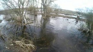 Топим мотик