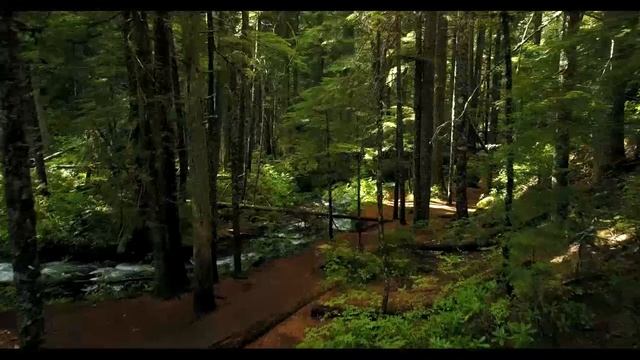 Музыка для души 2023 смотреть онлайн