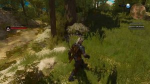 Боклерское сафари ► Ведьмак 3 Кровь и вино