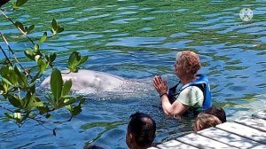 #Мексика 2021. #Юкатан. Ривьера-Майя. Экопарк Xel-Ha. Плавание с дельфинами. #экопарк