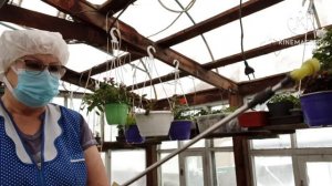 Тепличный Vlog ?. Профилактика от заболеваний.