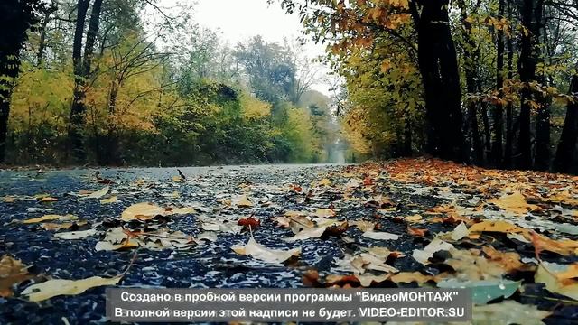 Успокаивающие звуки дождя для сна и медитации (Soothing rain sounds for sleep and meditation) смотреть онлайн