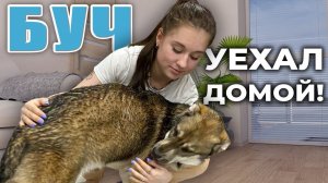 ❤️ БУЧ уехал ДОМОЙ ❗ Удачи, малыш, тебе и твоей новой любящей семье❤️❗