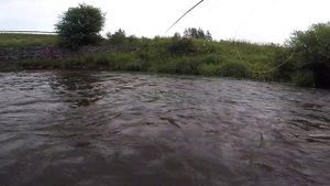 Нахлыст.Ловля хариуса на нимфу-методом Tight Line Nymphing.