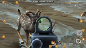 Deer Hunter 2014 - #58 - Новая винтовка