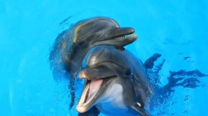 Сытин простуда. Настрои Георгия Сытина.