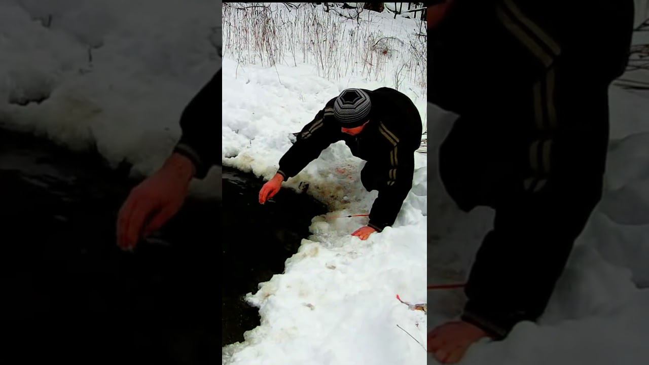 ТАК ВЫ РЫБУ ТОЧНО НЕ ЛОВИЛИ #shorts смотреть онлайн