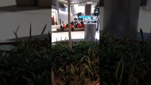 Как пронести воду в самолет? Какой курс рубля к турецкой лире в аэропорту Турции