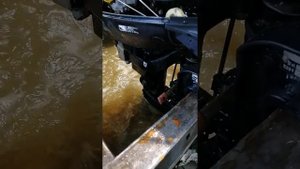 Лодочный мотор Тохатсу Mfs20 00123405, 4такта