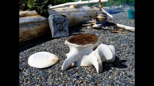 Альберт Мифтахутдинов и Олег Куваев (Архив 1987 г.)