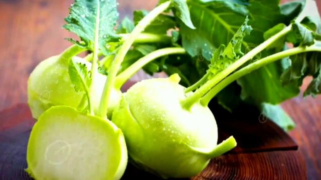 Что любят мышки  песчанки на завтрак обед и ужин