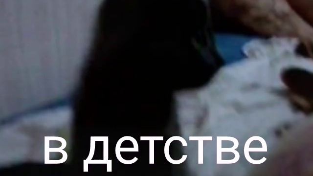 Фото моего котёнка