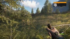 Охота на койота в theHunter Call of the Wild