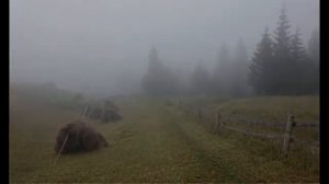 "Вы, реки сонные..."