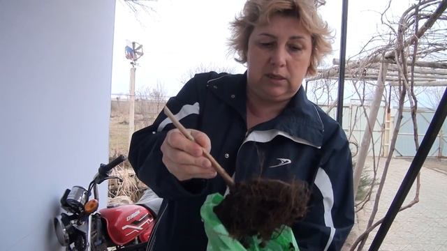 Наше молоко по 18 руб! Купили Инкубатор и генератор смотреть онлайн