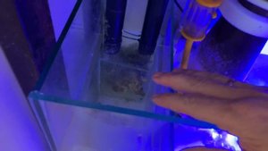 Биоцилиндры для снижения нитрата и фосфата в аквариуме