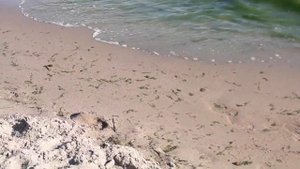 Озеро Кулундинское. Алтайский край.село Знаменка.