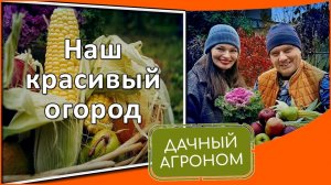 ПОШАГОВО Вот почему постоянные грядки так популярны!