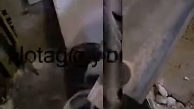 Домашняя мельница.