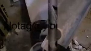 Домашняя мельница.